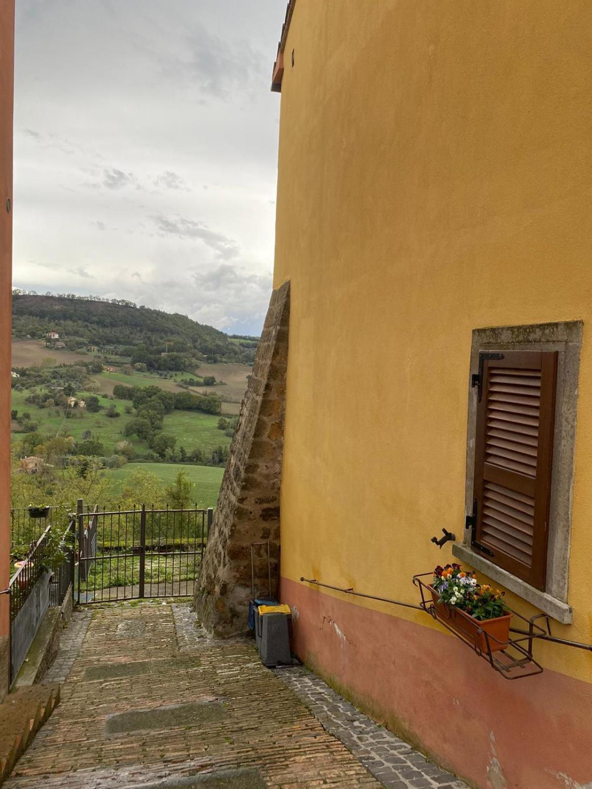 Casa vacanze Il Geranio Celleno Esterno foto